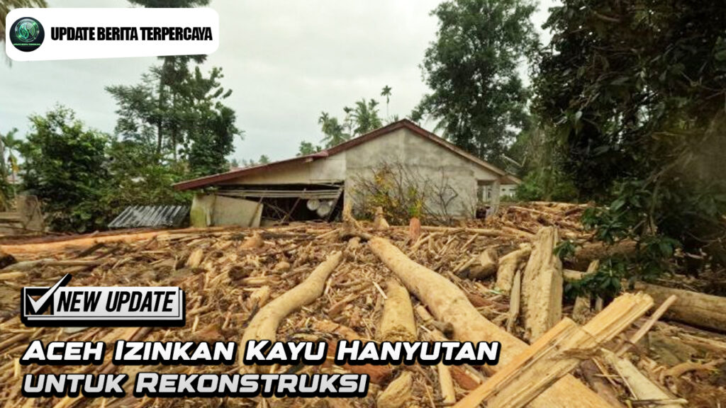 Aceh Izinkan Kayu Hanyutan untuk Rekonstruksi