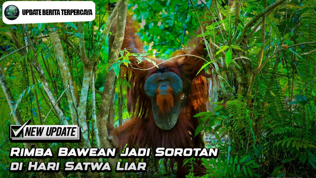 Rimba Bawean Jadi Sorotan di Hari Satwa Liar